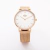 ORION GOLD